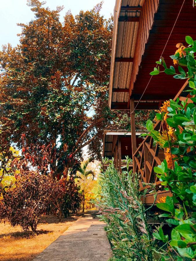 Mana Kai Camping & Cabins San Ignacio Exterior photo