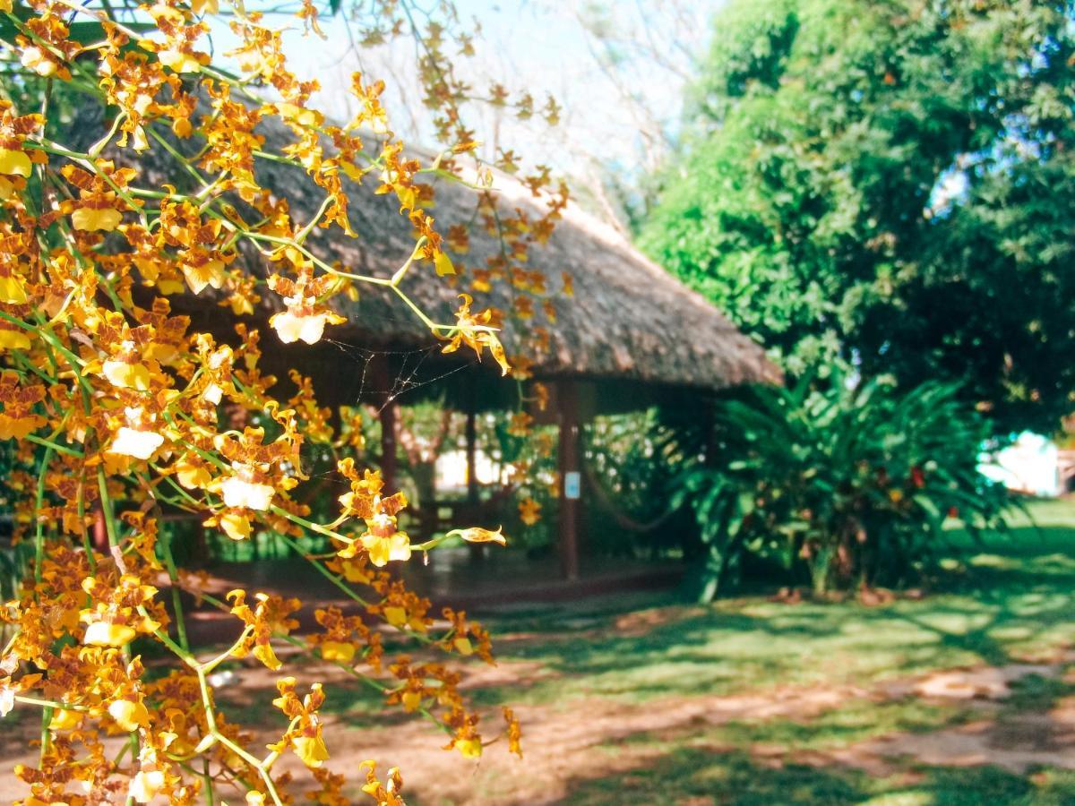 Mana Kai Camping & Cabins San Ignacio Exterior photo