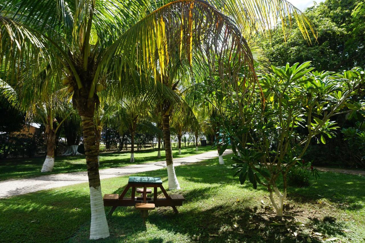 Mana Kai Camping & Cabins San Ignacio Exterior photo